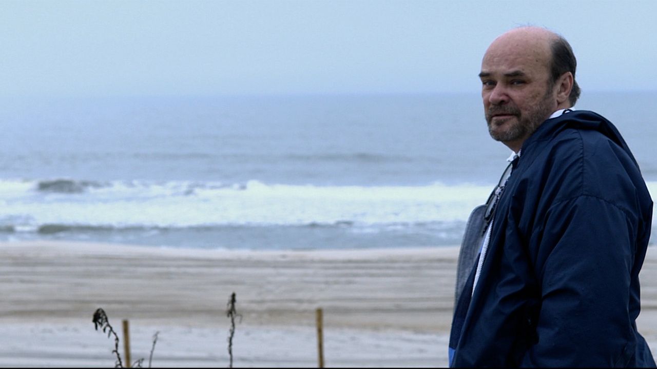 The Forecaster : Bild