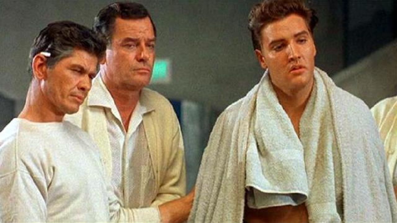 Kid Galahad - Harte Fäuste, heiße Liebe : Bild