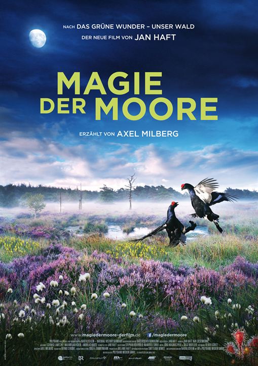 Magie der Moore : Kinoposter