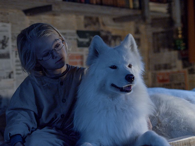 Operation Arktis : Bild