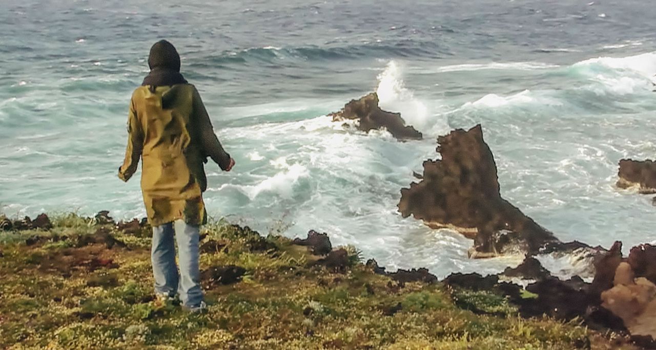 Olmo And The Seagull : Bild