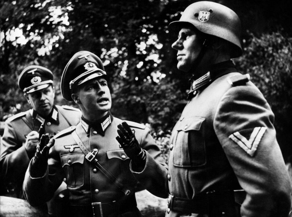 Die jungen Löwen : Bild