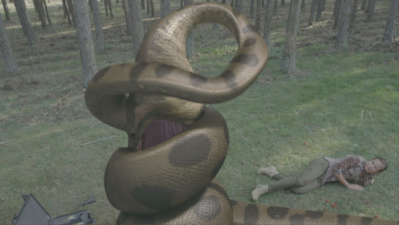 Lake Placid Vs. Anaconda : Bild