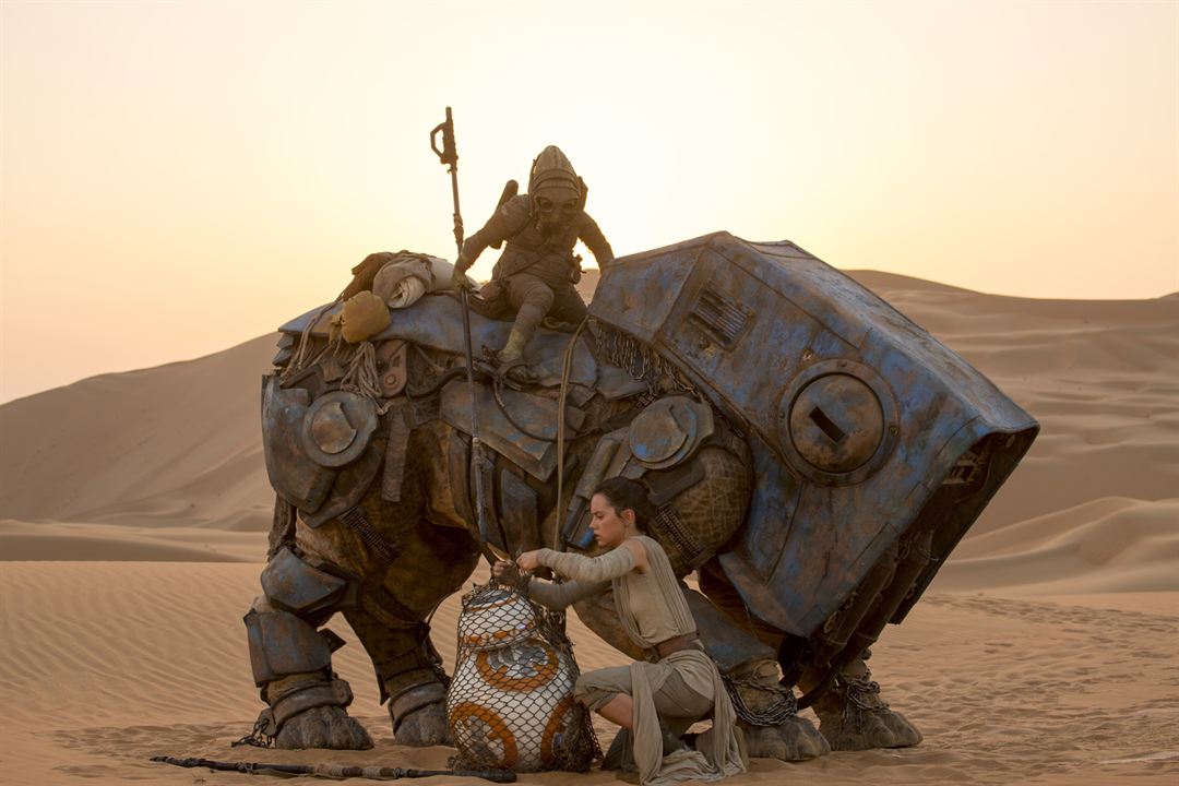 Star Wars 7: Das Erwachen der Macht : Bild Daisy Ridley