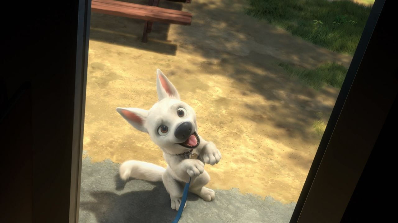 Bolt - Ein Hund für alle Fälle : Bild