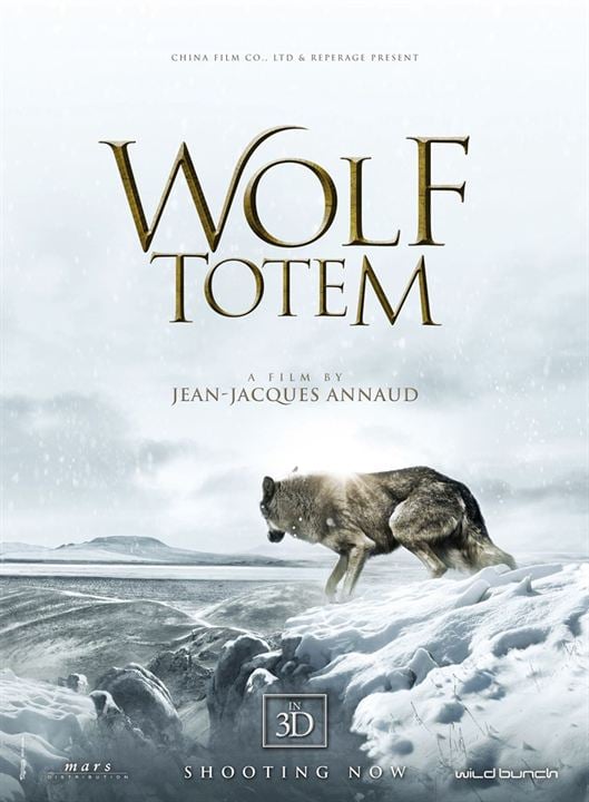 Der letzte Wolf : Kinoposter