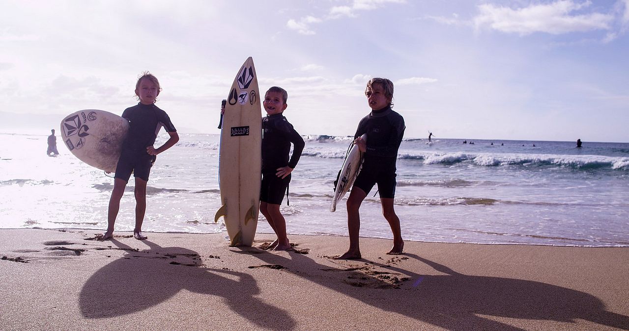 The Search for Freedom : Bild