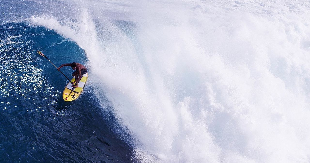 The Search for Freedom : Bild