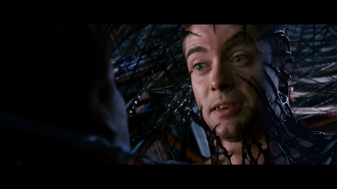 Spider-Man 3 : Bild