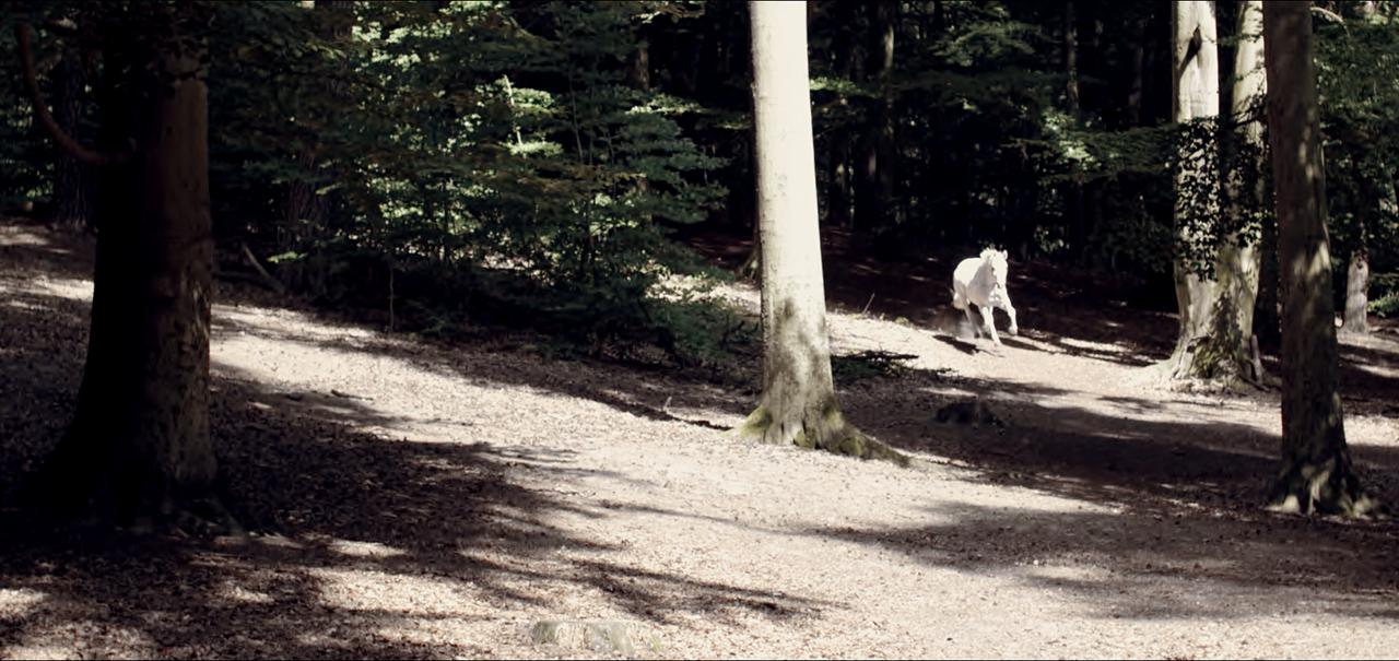 Mein Prinz - Mein König : Bild