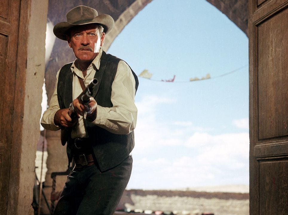 The Wild Bunch : Bild