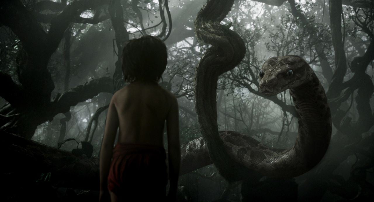 The Jungle Book : Bild Neel Sethi