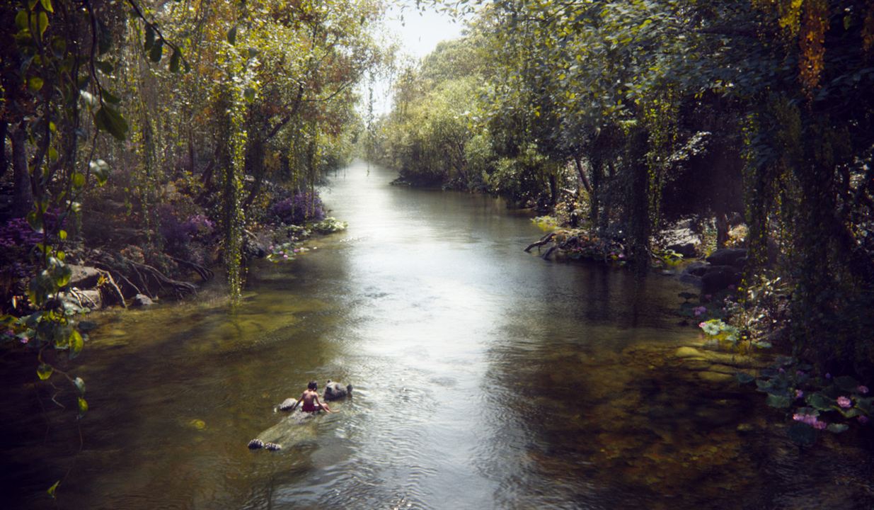 The Jungle Book : Bild Neel Sethi