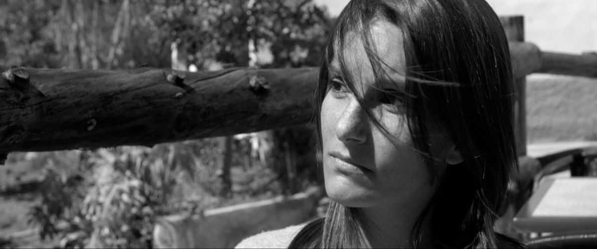 Un sol frío en verano - Un soleil froid en été : Bild