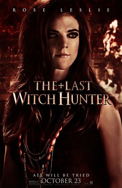 The Last Witch Hunter : Kinoposter