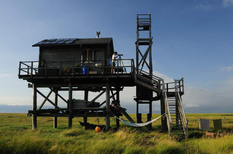 Birds & People - Ganz verrückt auf Vögel : Bild