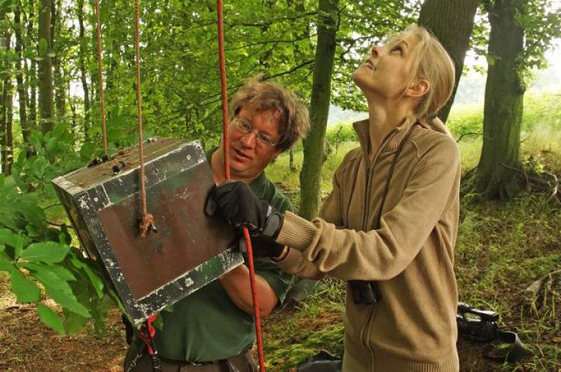 Birds & People - Ganz verrückt auf Vögel : Bild Robin Jähne