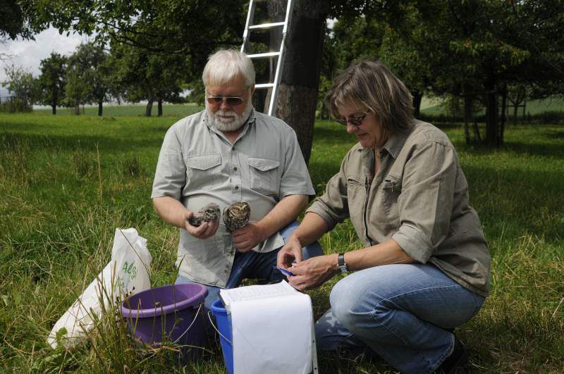 Birds & People - Ganz verrückt auf Vögel : Bild Peter-Josef Müller, Rita Müller