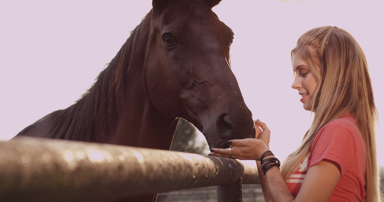 Frei wie der Wind : Bild