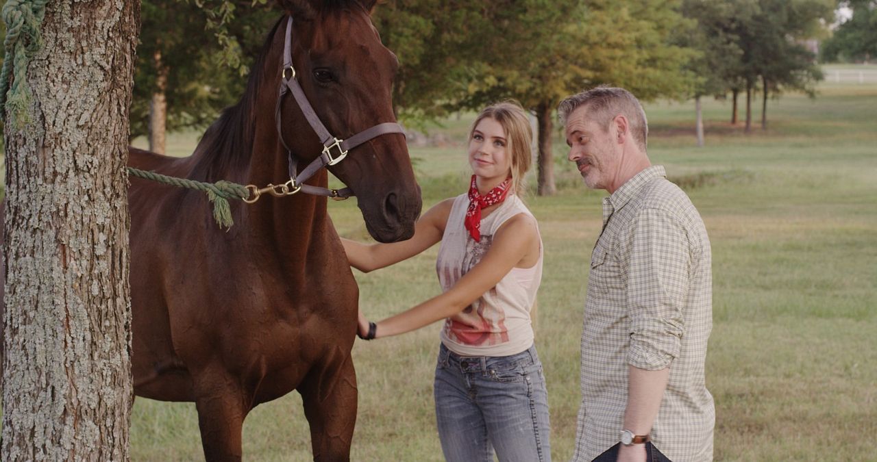 Frei wie der Wind : Bild