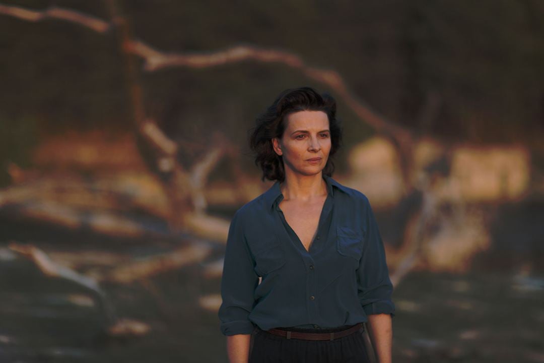 The Wait : Bild Juliette Binoche