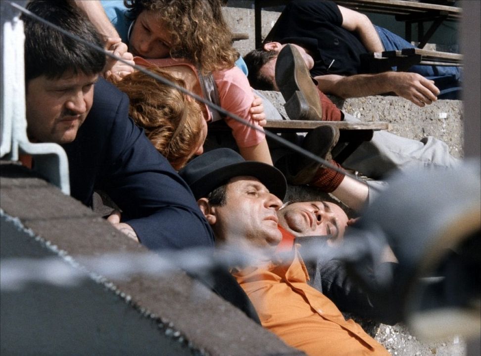 Schütze deine Rechte : Bild