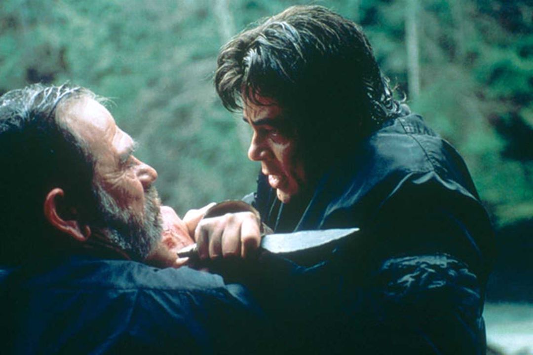 Die Stunde des Jägers : Bild Benicio Del Toro, Tommy Lee Jones