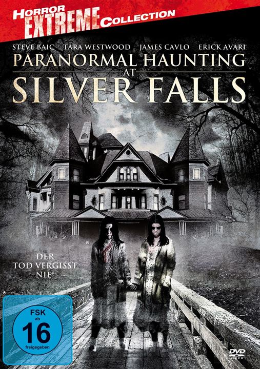 Paranormal Haunting At Silver Falls : Kinoposter