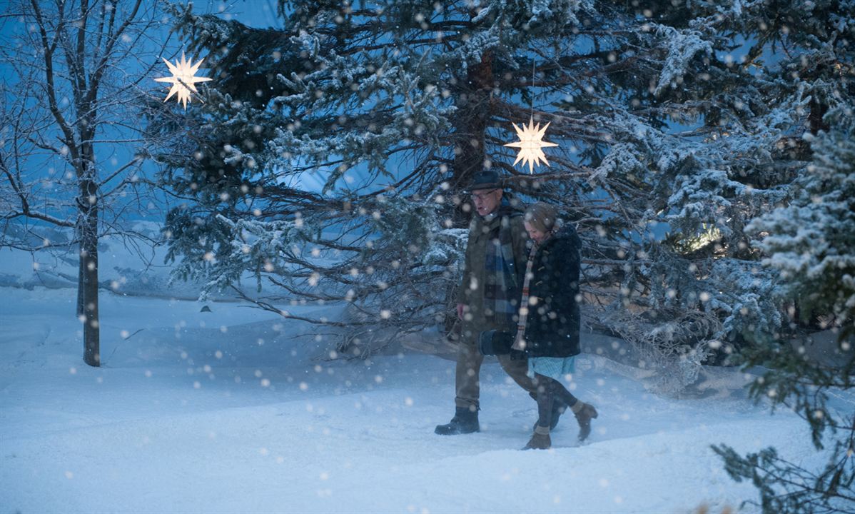 Alle Jahre wieder - Weihnachten mit den Coopers : Bild Amanda Seyfried, Alan Arkin