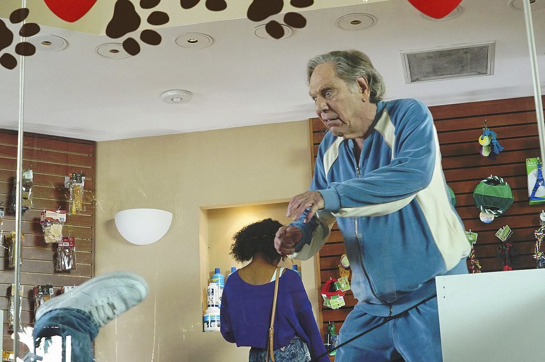 Die Goldbergs : Bild George Segal