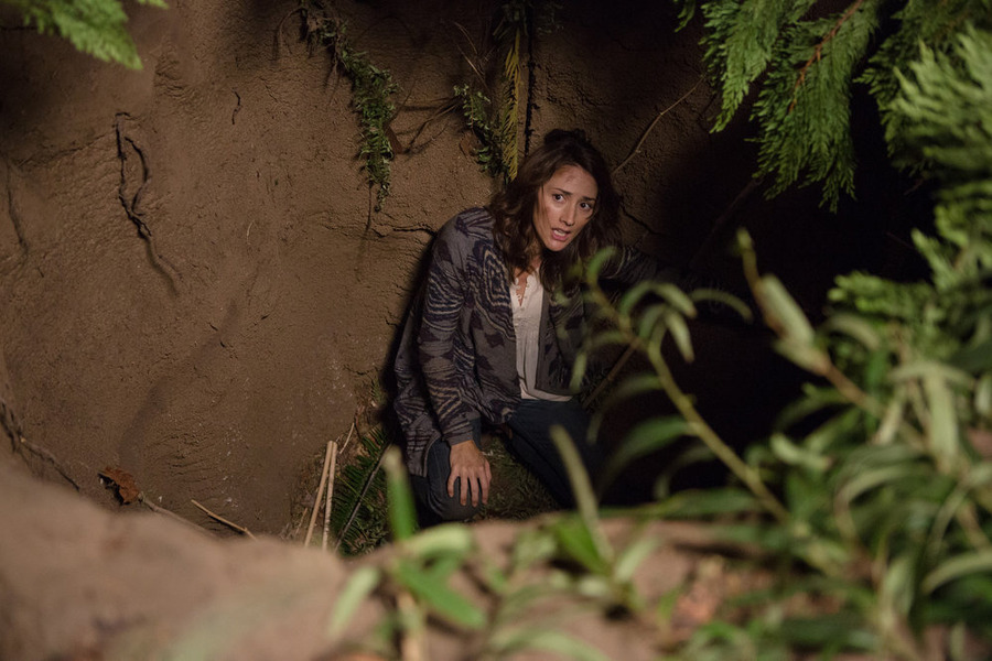 Grimm : Bild Bree Turner