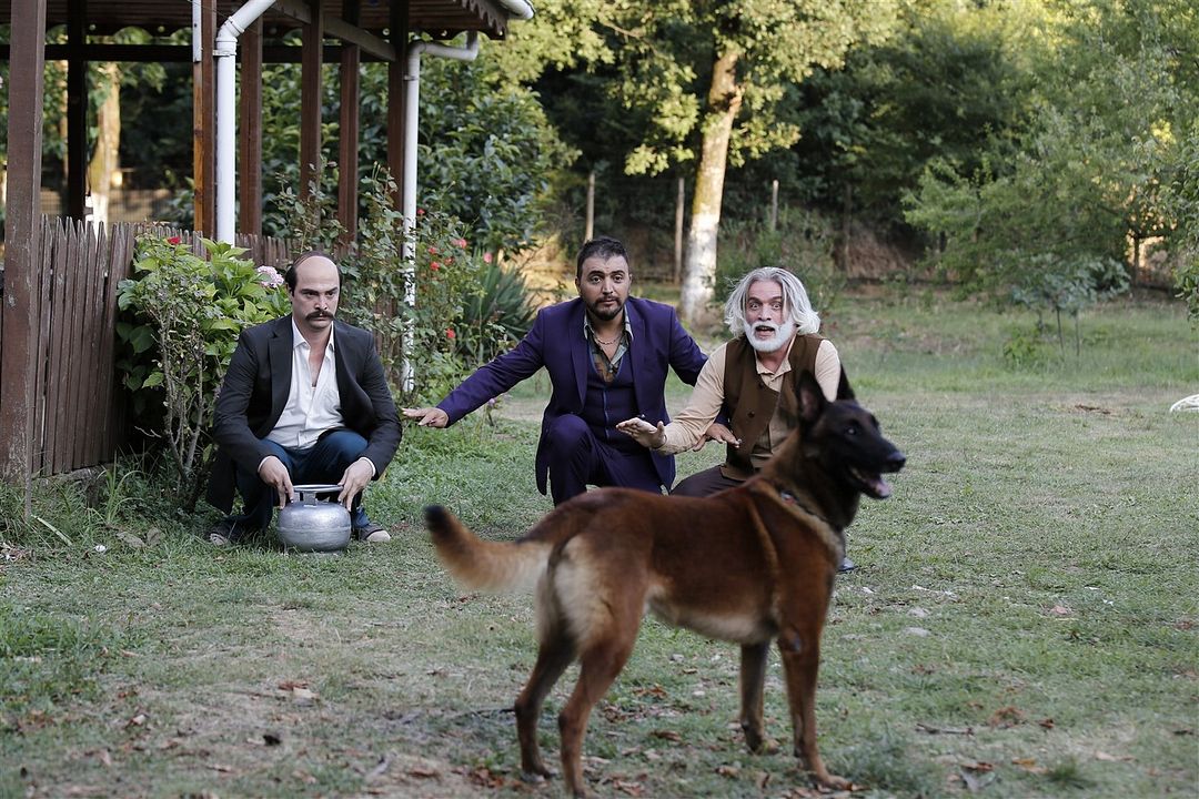 Düğün Dernek 2: Die Beschneidung : Bild