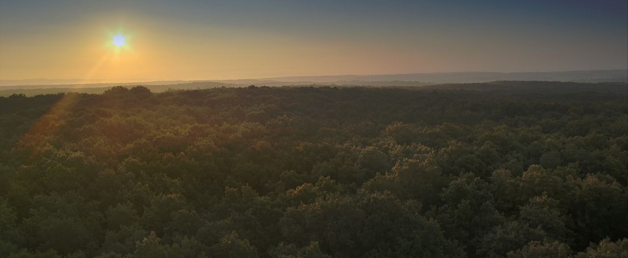 Unsere Wildnis : Bild