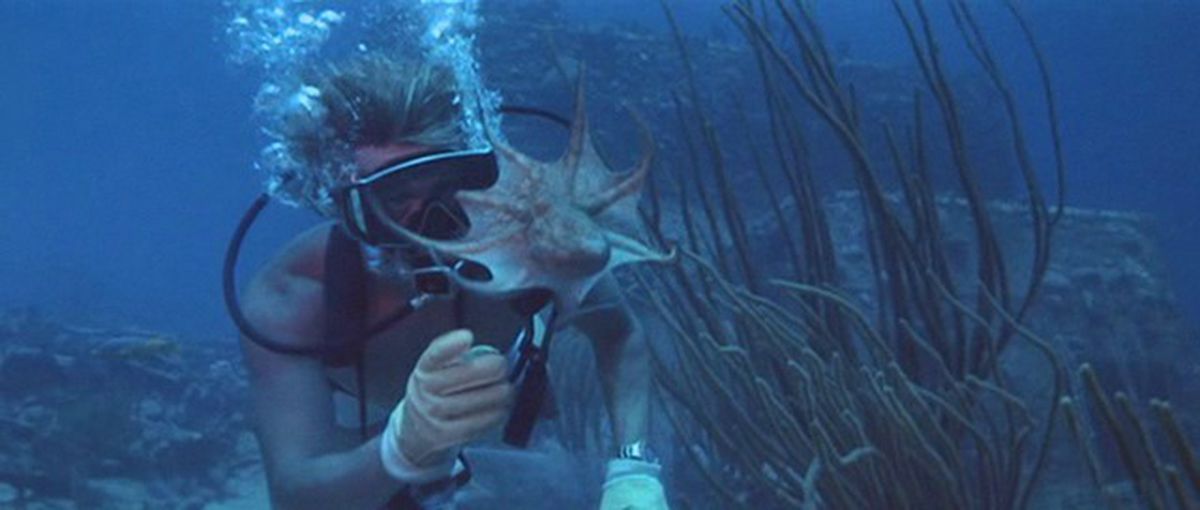 Die Tiefe : Bild Jacqueline Bisset