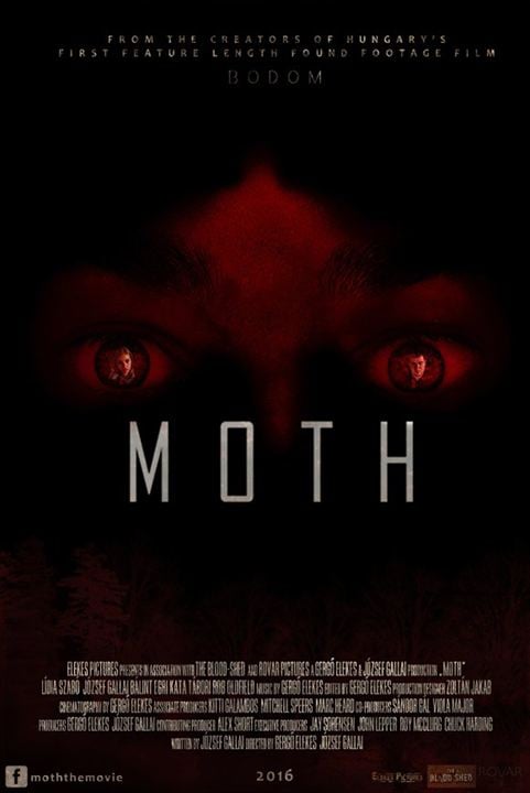 Moth : Kinoposter