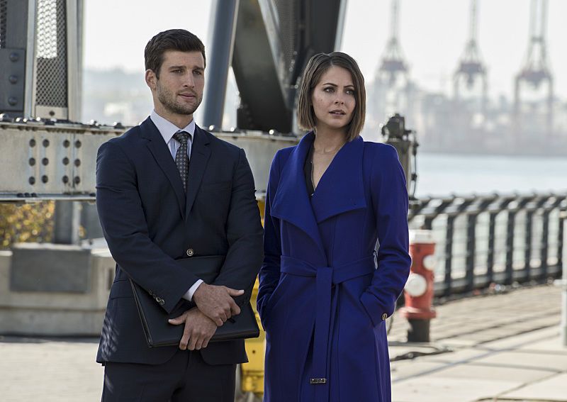 Arrow : Bild Parker Young, Willa Holland
