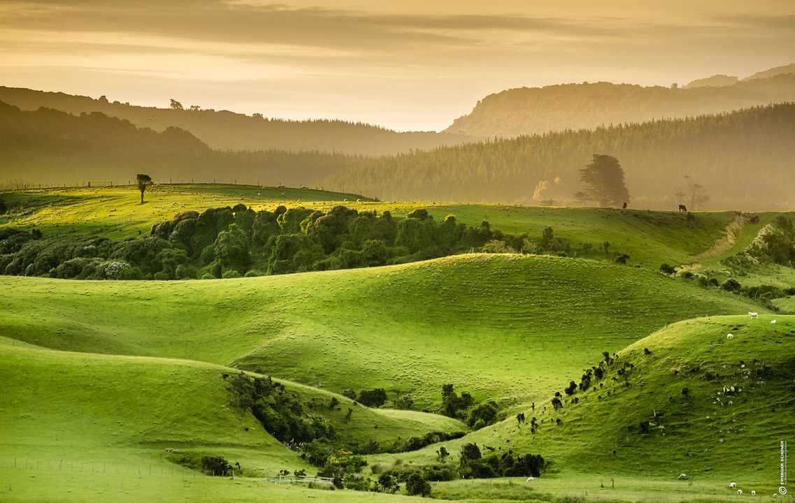 Neuseeland - Der Film : Bild