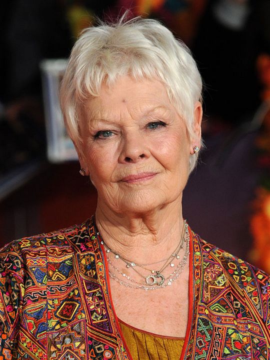 Kinoposter Judi Dench