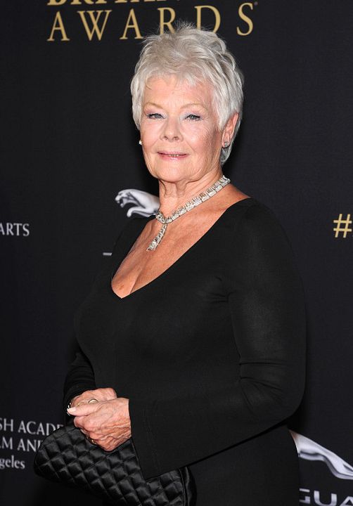 Vignette (magazine) Judi Dench