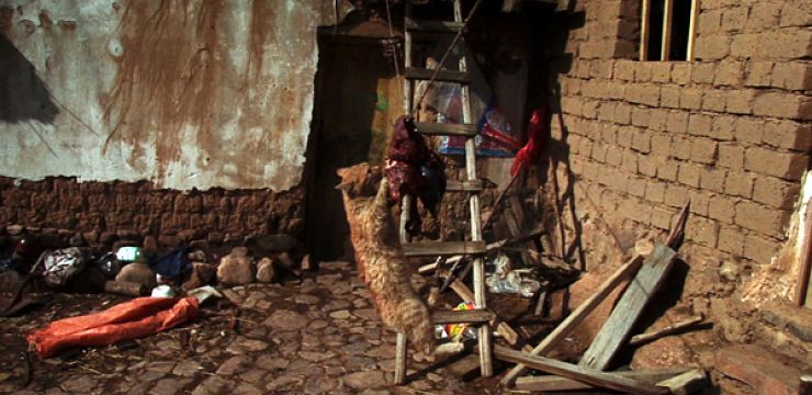 El Corral y el Viento : Bild