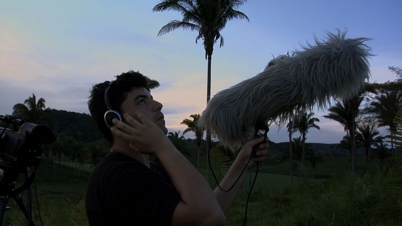 Passarinho Lá de Nova Iorque : Bild