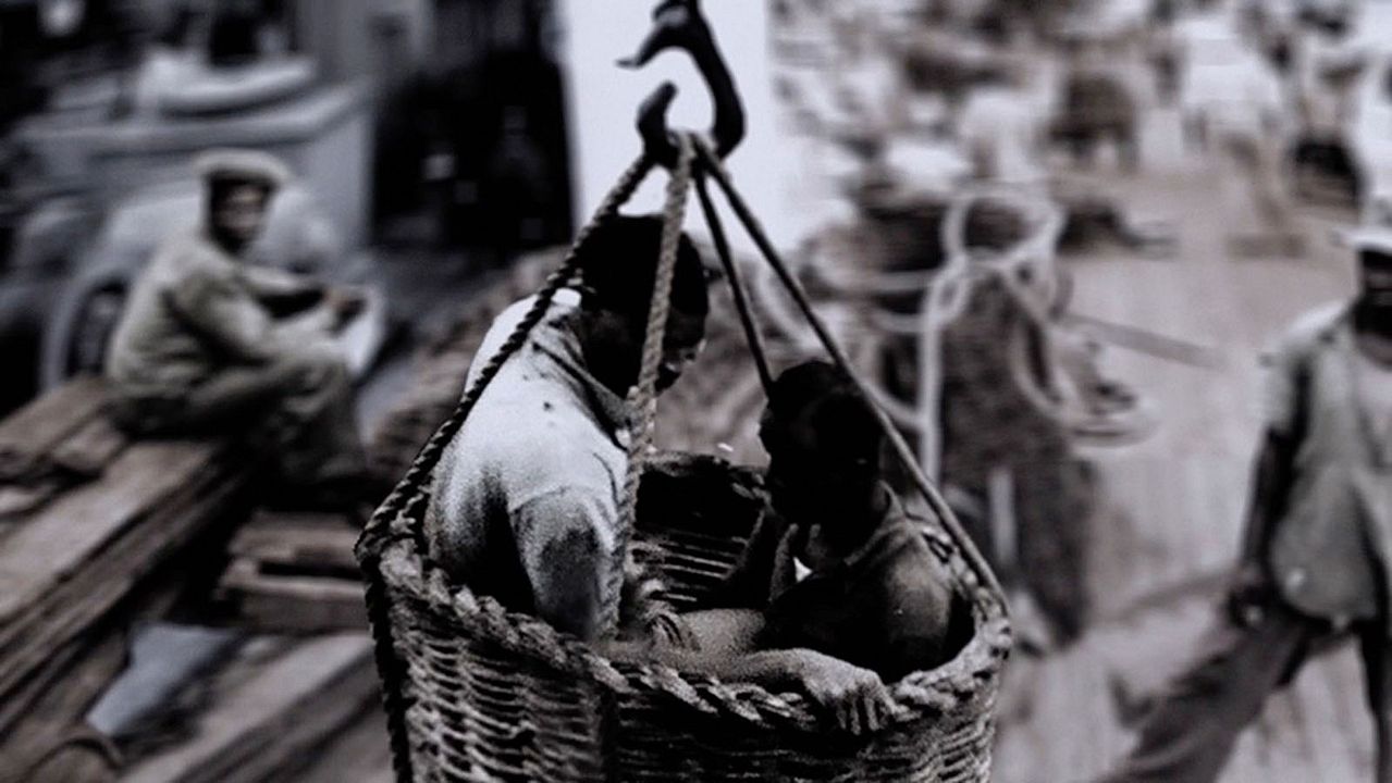 Un día vi 10.000 elefantes : Bild