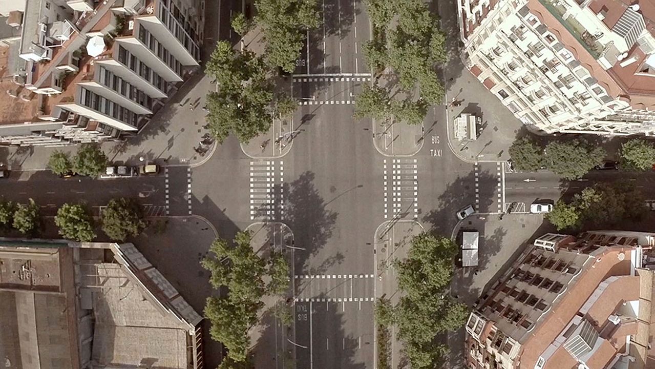 Un día vi 10.000 elefantes : Bild