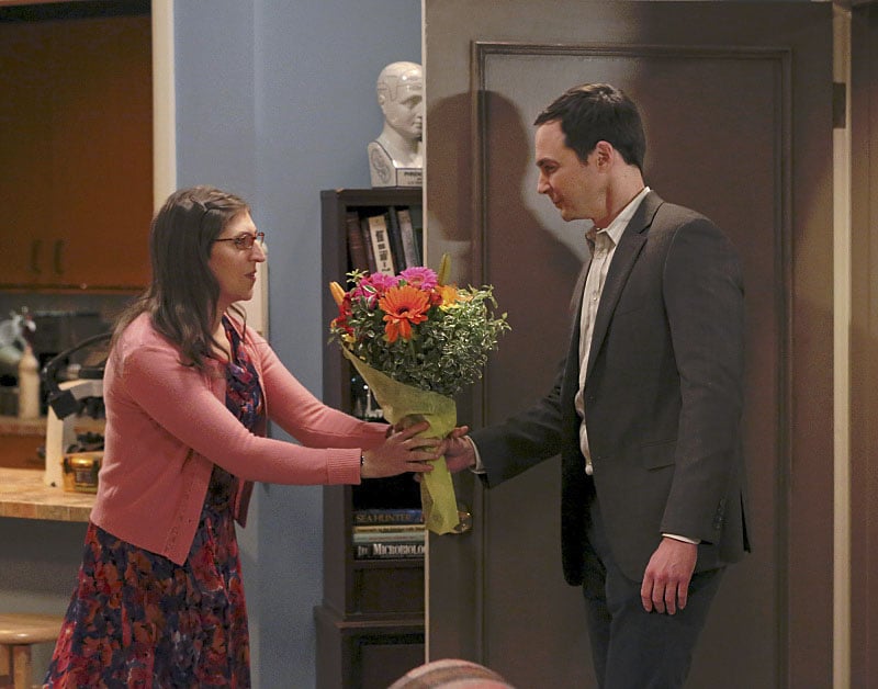 The Big Bang Theory : Bild Mayim Bialik, Jim Parsons