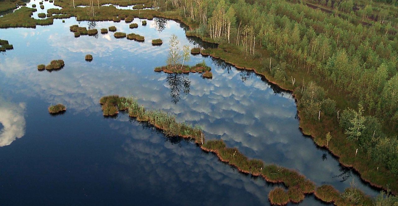 Passion For Planet : Bild