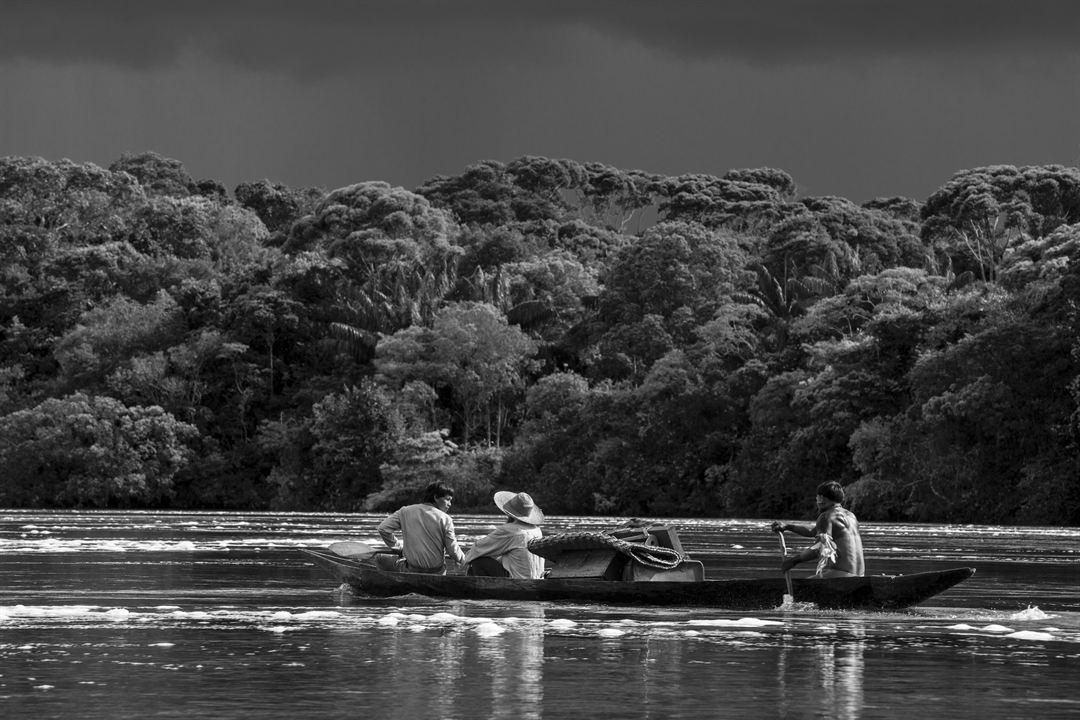 Der Schamane und die Schlange - Eine Reise auf dem Amazonas : Bild Jan Bijvoet, Nilbio Torres, Yauenkü Migue