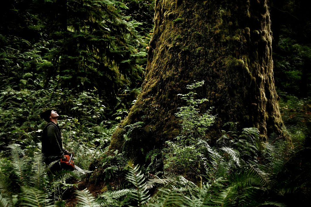 Hadwin's Judgement : Bild