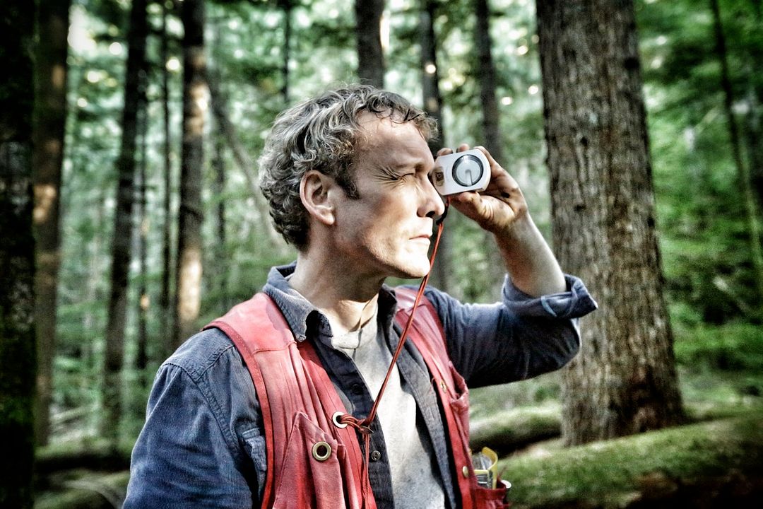 Hadwin's Judgement : Bild