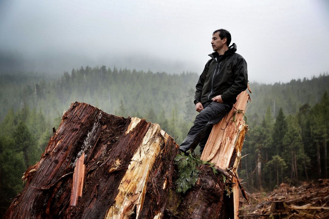 Hadwin's Judgement : Bild