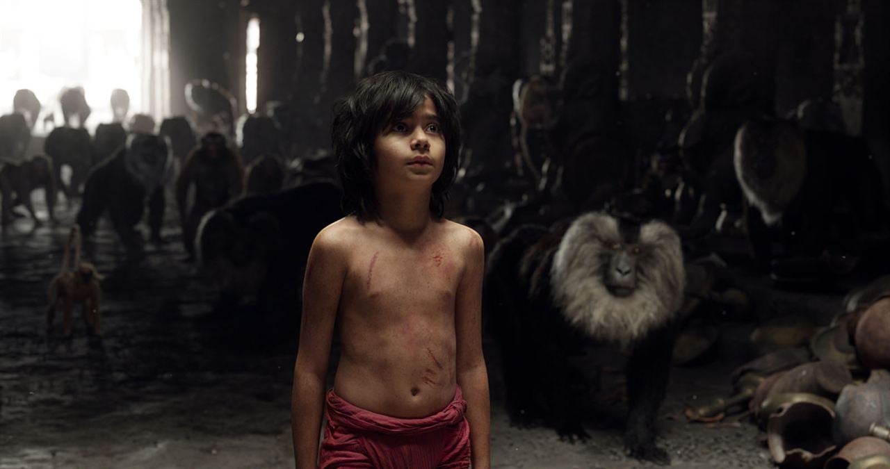 The Jungle Book : Bild Neel Sethi